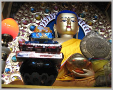Buddhist Tour india