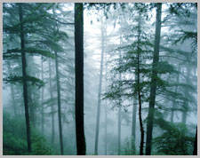 Dharamsala