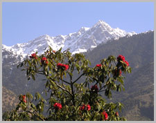 Dharamsala, India