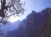 Trekking, Tirthan, Sainj Valley, Great Himalayan National Park 1