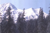 Trekking, Tirthan, Sainj Valley, Great Himalayan National Park 1