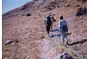 Trekking, Tirthan, Sainj Valley, Great Himalayan National Park 1