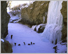 chadar trek