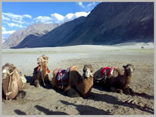 nubra valley