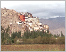 Snow Leopard Trek in Ladakh