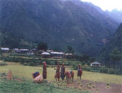 Great Himalayan National Park, Trekking in Tirthan Valley